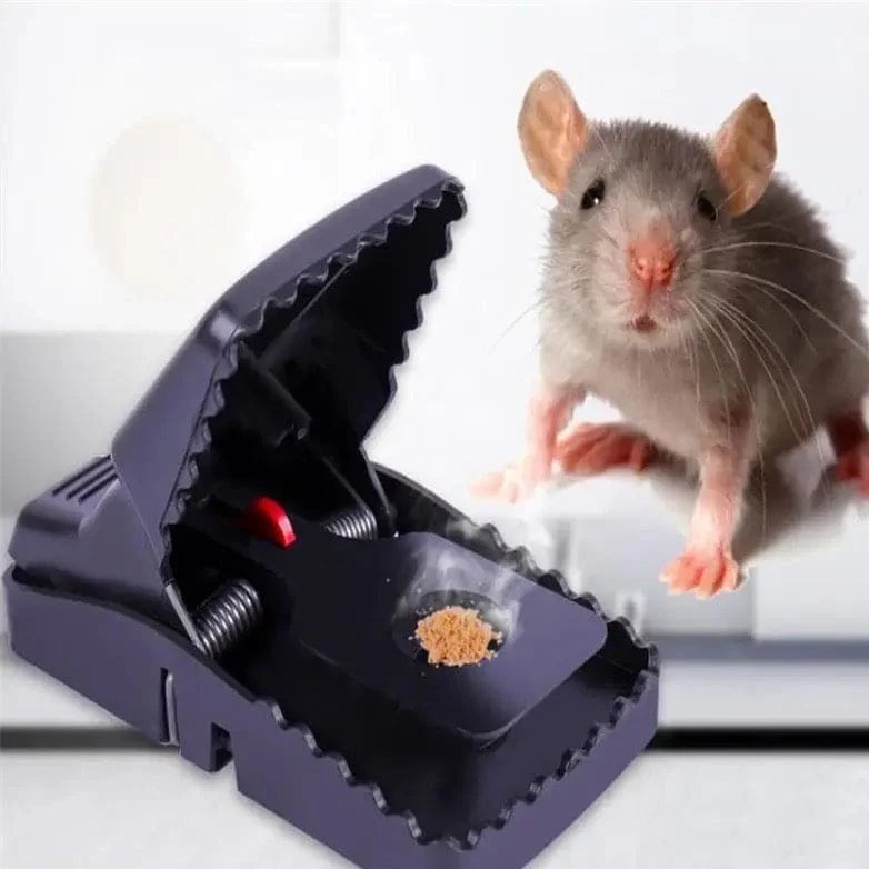 Mouse Trap (৩ পিস)