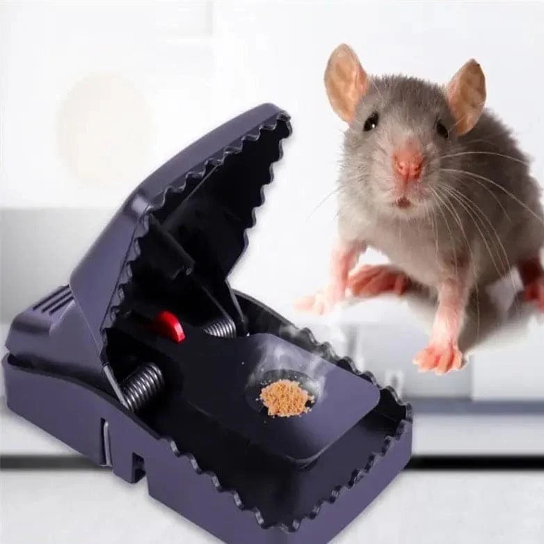Mouse trap ( 6 pc)